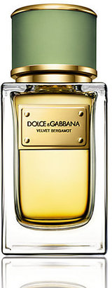Dolce & Gabbana Velvet Bergamot Eau de Parfum