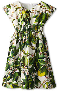 Dolce & Gabbana Poplin Blossom Print Dress (Toddler/Little Kids)