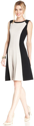 Connected Sleeveless Seamed Colorblock Dress