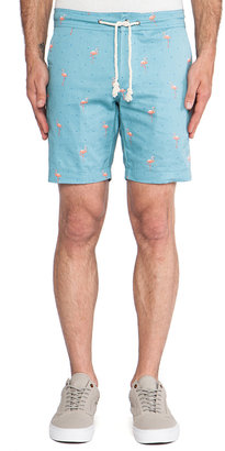 Altru Flamingo Shorts