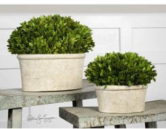 Uttermost 'Oval Domes' Preserved Boxwood Decorations