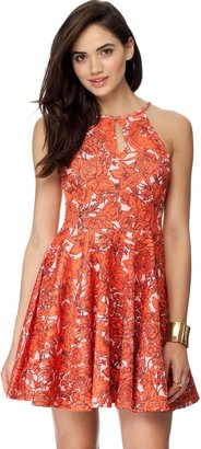 Paint It Red Day Dream Nation Dress Dresses
