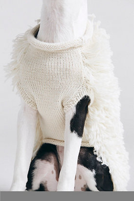 Free People Ware of the Dog Alpaca Sweater
