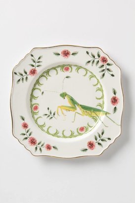 Anthropologie Nature Table Plate, Praying Mantis